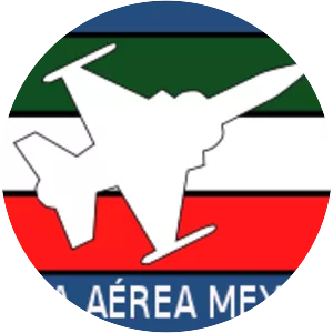 Mexican Air Force - Aerial warfare service branch