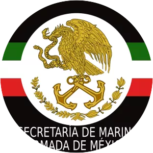 Mexican Navy - Armed force
