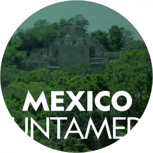 Mexico Untamed