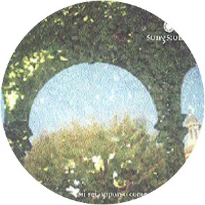 Mi Sei Apparso Come Un Fantasma - Live album by Jason Molina