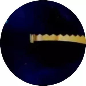 Michael and Madonna 2 - 1993 ‧ Comedy