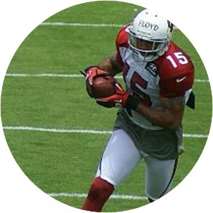 Michael Floyd - American football wide receiver