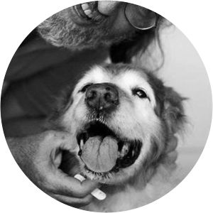 Michael Madonick photograph