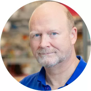 Michael P Rout - Researcher