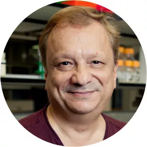 Michael R. Rampino - Geologist