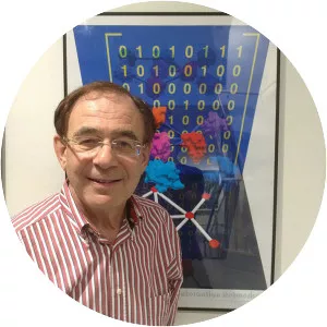 Michael Sternberg - Professor