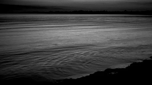 Michael Wall Art Director AB