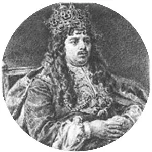 Michał Korybut Wiśniowiecki - Ruler