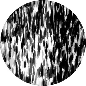 Michal Rovner - Israeli video artist