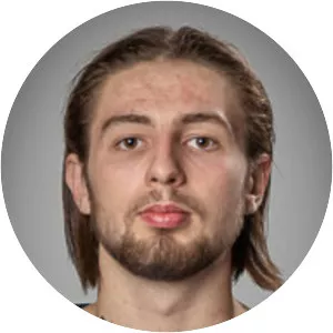 Michal Vojvoda - Ice hockey player