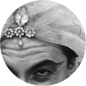 Michel Cailloux - Author