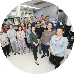 Michel Sadelain - Immunologist