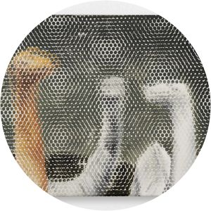 Michel van den Abeele