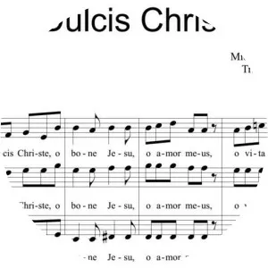 Michelangelo Grancini Musician