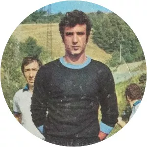 Michelangelo Sulfaro