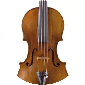 Michele Deconet - Musician