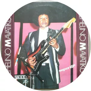 Michelino Mavatiku Visi