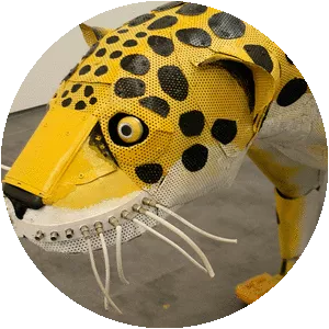 Michelle Reader - Visual artist