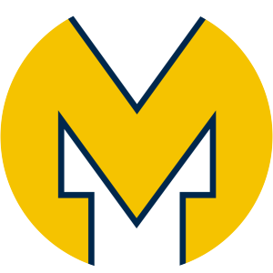 Michigan Wolverines photograph