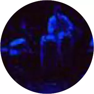 Michito Sanchez - Drummer