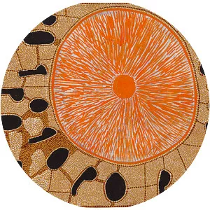 Mick Namarari Tjapaltjarri