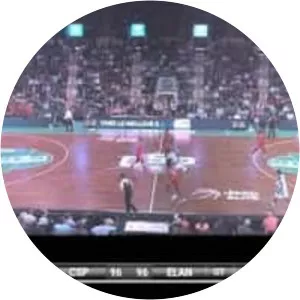 Mickaël Gelabale - French professional basketball player