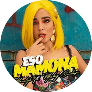 Mickey Cundapi - Musical artist