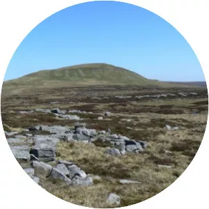 Mickle Fell - 