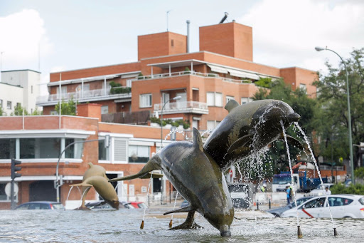 Micole - Educational consultant in Madrid, Spain