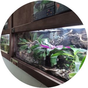 Micro Zoo Saint-Malo - 