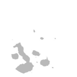 Microlophus delanonis - 