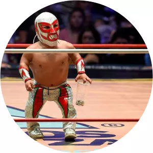 Microman - Wrestler