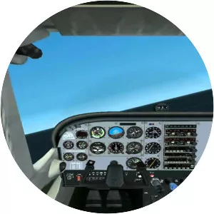 Microsoft Flight Simulator 2002