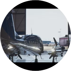 Microsoft Flight Simulator - Video game series