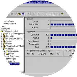 Microsoft Transaction Server photograph