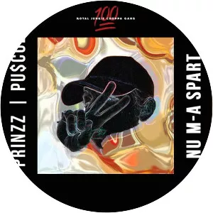 Micu Prinzz - Musical artist