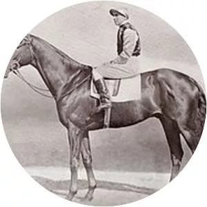 Mid-day Sun photograph