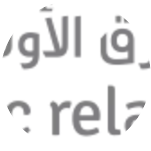 Middle East Public Relations Association