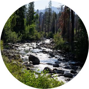Middle Fork Stanislaus River