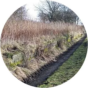 Middleton North railway station