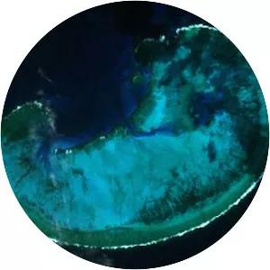 Middleton Reef - Island in the Tasman Sea