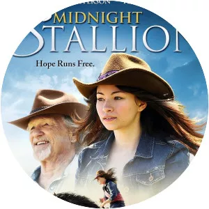 Midnight Stallion