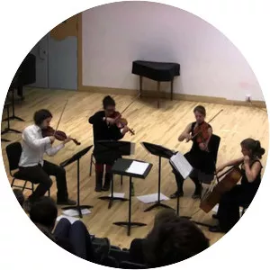 Midnite String Quartet