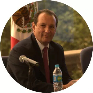 Miguel Alessio Robles