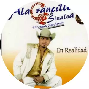 Miguel Alonso Musician