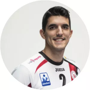 Miguel Sánchez Migallón - Spanish handball player