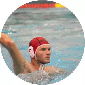 Mihály Péterfy - Gergely Péterfy's son