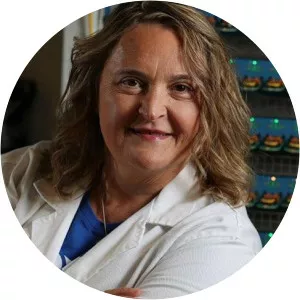 Mihri Özkan - Researcher