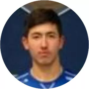 Mikael Egill Ellertsson