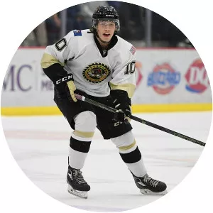 Mikael Hakkarainen - Ice hockey player